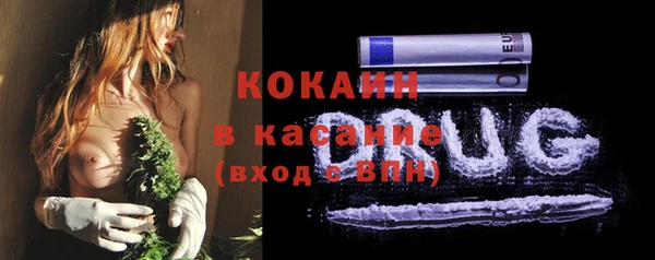 дмт Арсеньев
