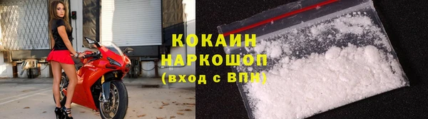 крисы Армянск