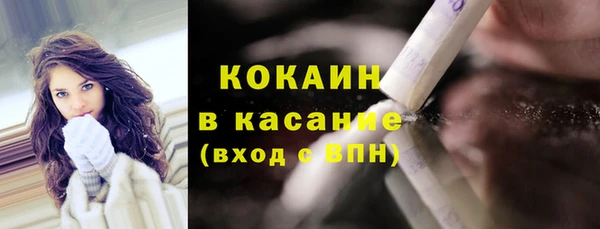 дмт Арсеньев