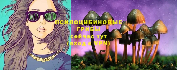 крисы Армянск