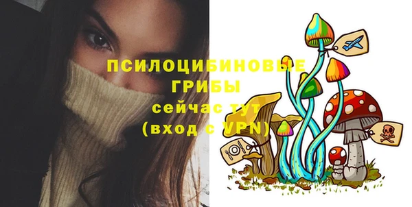 крисы Армянск