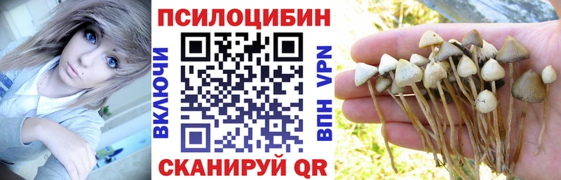 Псилоцибиновые грибы Psilocybine cubensis  Почеп 